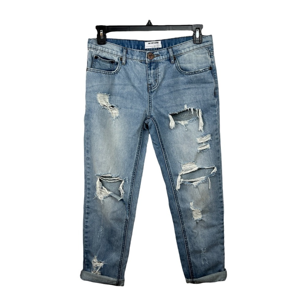 One X One Teaspoon Awesome Baggies Distressed Jeans